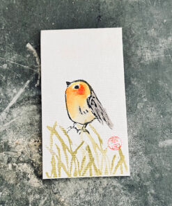 Aquarell  *Rotkehlchen - Robin - Rouge-Gorge Nr.1 *