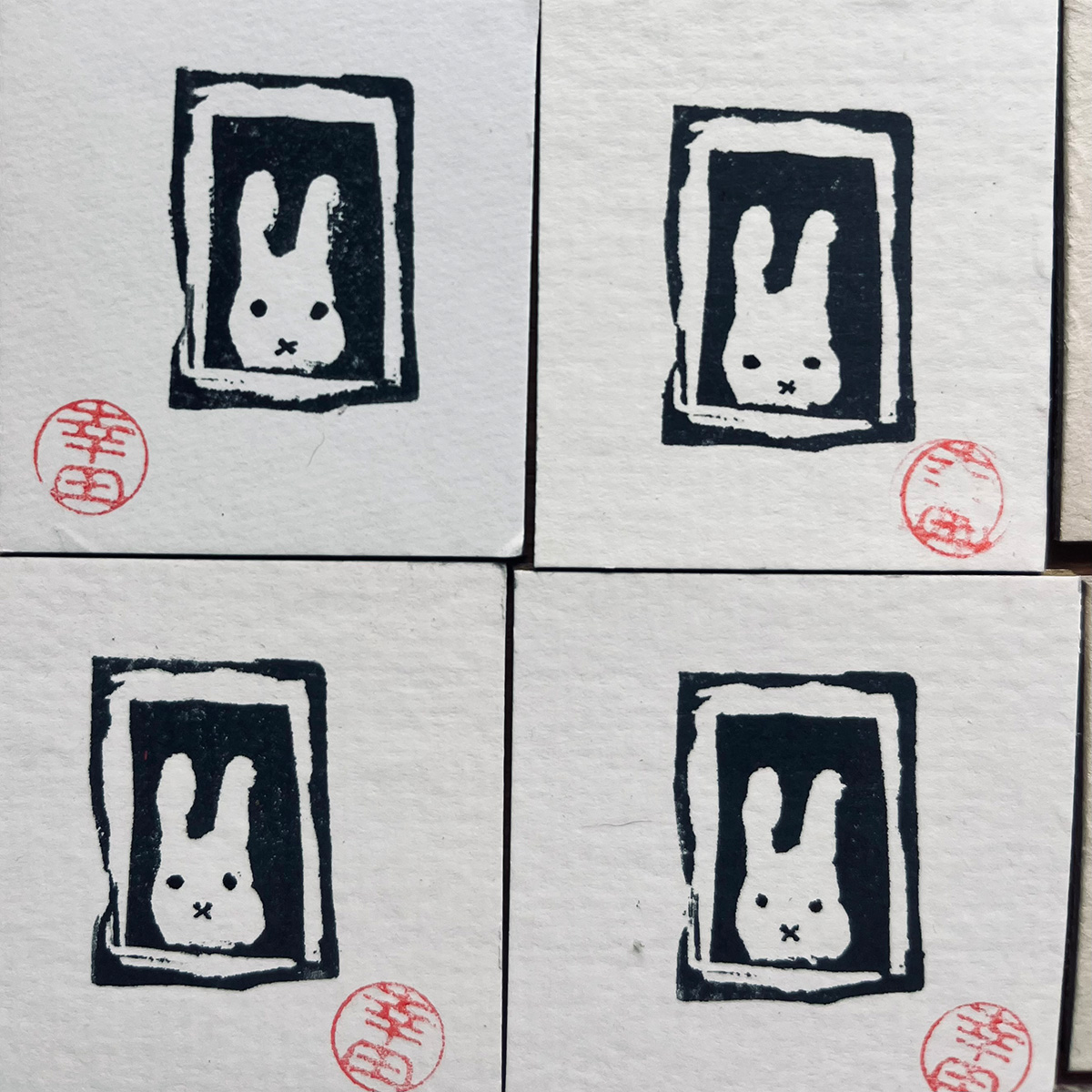 Hase2
