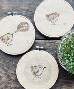 Stickrahmenbild *Zaunkönig - Wren - Roitelet* Aquarell auf Büttenpapier