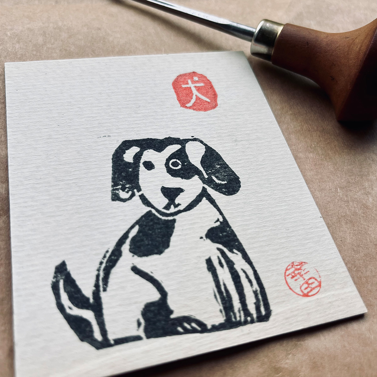 Dog5