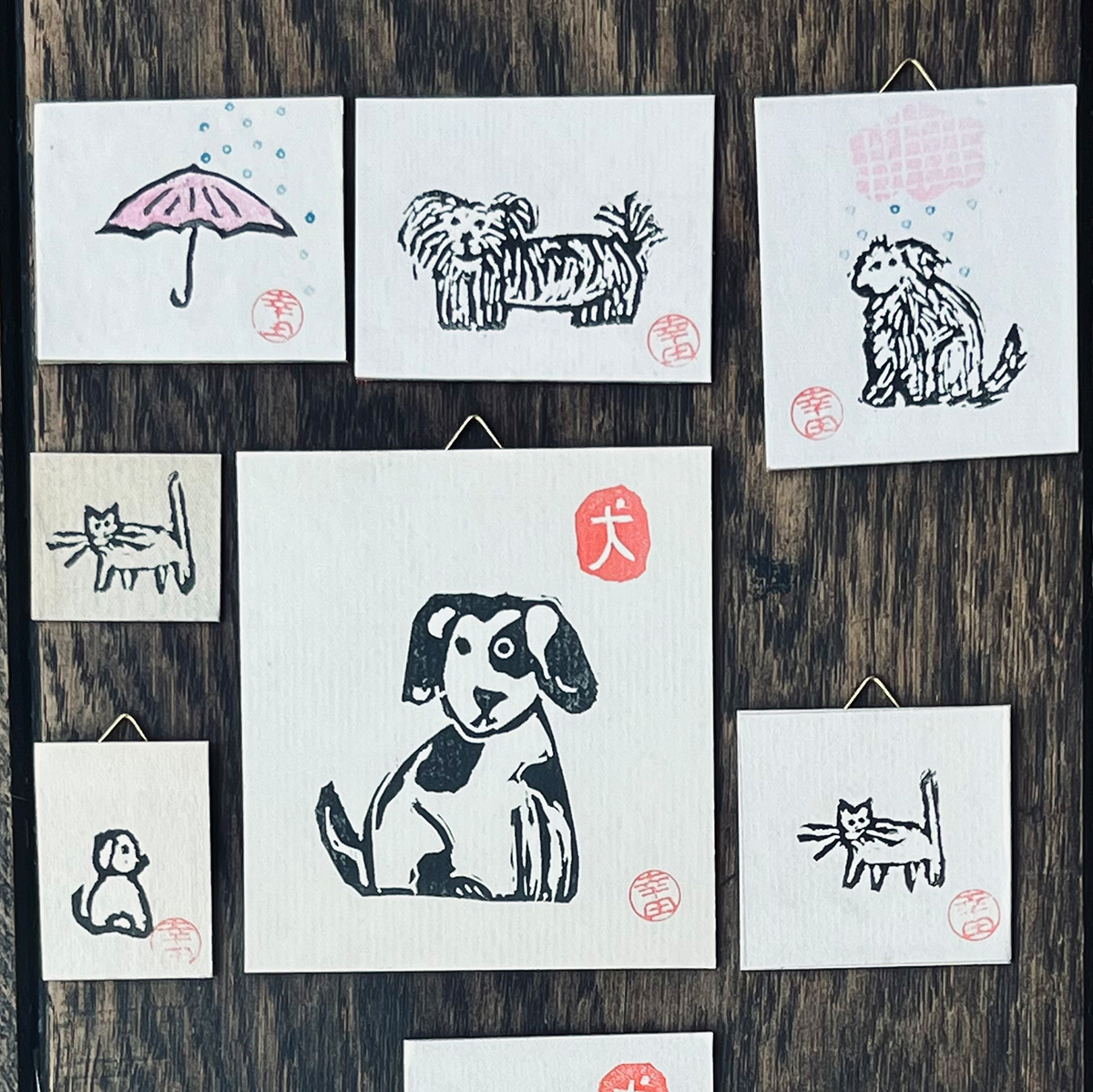 Hunde_Mix1