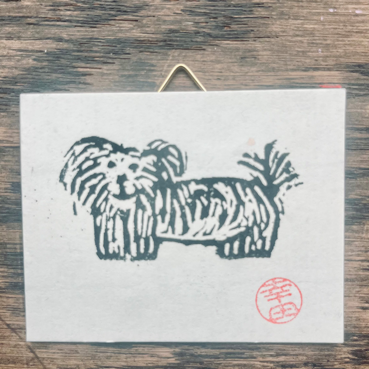 hund_malteser1